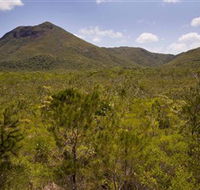 Kutini-Payamu Iron Range National Park CYPAL - Australian Destinations