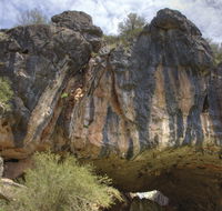 Borenore Karst Conservation Reserve - Australian Destinations