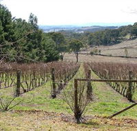 Habitat Vineyard - Australian Destinations