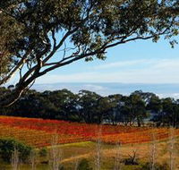 Bloodwood Estate - Australian Destinations