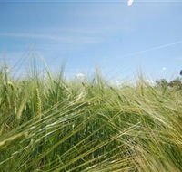 150 Degrees East Meridian - Australian Destinations