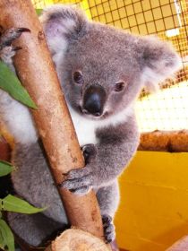  Australian Destinations