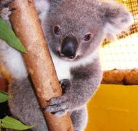 Cooberrie Park Wildlife Sanctuary - Australian Destinations