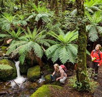Baw Baw National Park - Australian Destinations