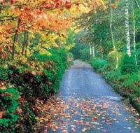 Mount Wilson and Mount Irvine - Australian Destinations