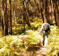 Federal Pass - Australian Destinations