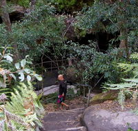 Leura Cascades Fern Bower - Australian Destinations