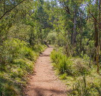 Mares Forest Creek walking track - Australian Destinations
