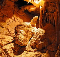 Fig Tree Cave - Australian Destinations