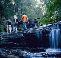 South Lawson Waterfall Circuit - Australian Destinations