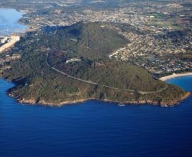 Avenue Of Honour - Australian Destinations 0