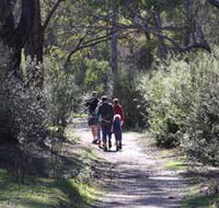 Syd's Rapids and Aboriginal Heritage Trail Avon Valley - Australian Destinations