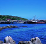 King Island Dairies - Australian Destinations