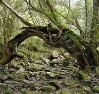 Mitchell River National Park - Australian Destinations