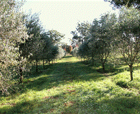Langdale Farm - Australian Destinations