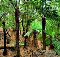 Pegarah Private Nature Reserve  Parenna Place - Australian Destinations