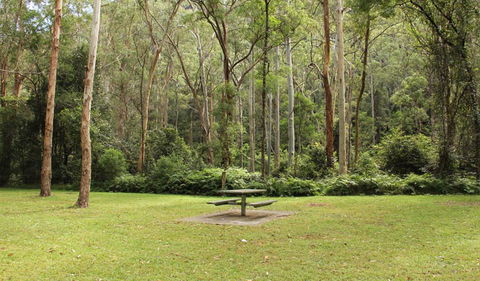 Mill Creek Picnic Area - Australian Destinations 1
