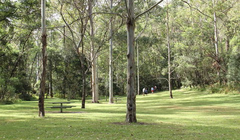 Mill Creek Picnic Area - Australian Destinations 3