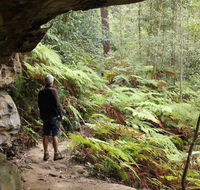 Dharug National Park - Australian Destinations