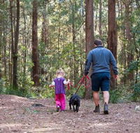 Olney State Forest - Watagan Mountains - Australian Destinations