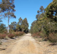 Werakata National Park - Australian Destinations