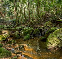 Palm Grove Nature Reserve - Australian Destinations