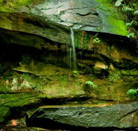 Strickland State Forest - Australian Destinations