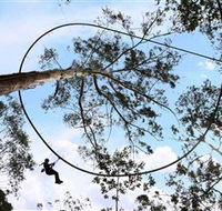 TreeTops Crazy Rider - Australian Destinations