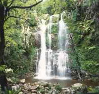 Budderoo National Park - The Falls Walk - Australian Destinations