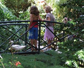 EG Waterhouse National Camellia Garden - Australian Destinations 0