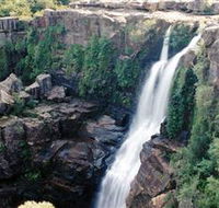 Minnamurra Rainforest Centre Budderoo National Park - Australian Destinations