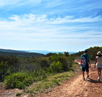 Moonee Beach trail - Australian Destinations