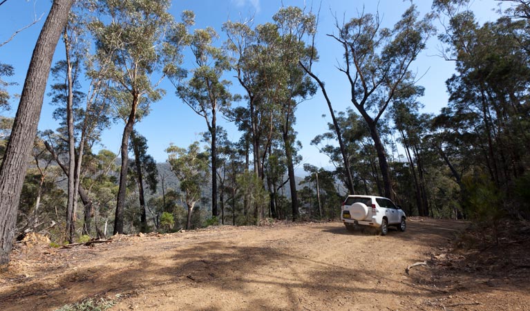 Wadbilliga NSW Australian Destinations