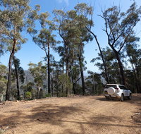 Wadbilliga Road drive - Australian Destinations