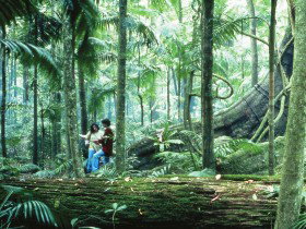 Binna Burra QLD Australian Destinations