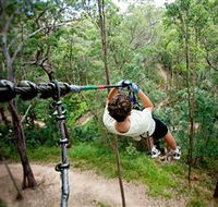 TreeTop Challenge - Australian Destinations