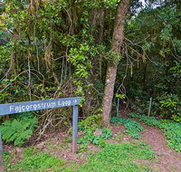 Falcorostrum loop walking track - Australian Destinations