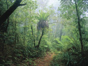 Wagawn - Australian Destinations 0