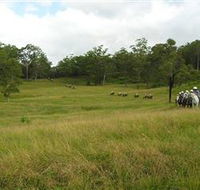 Numinbah Valley Adventure Trails - Australian Destinations
