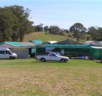 Tinonee Orchid Nursery - Australian Destinations