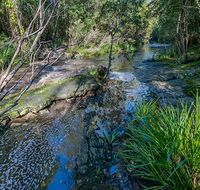 Dawson River walking track - Australian Destinations