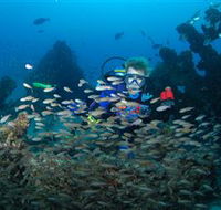Aarhus Dive Site - Australian Destinations