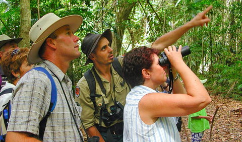 Falls Walking Track - Australian Destinations 0