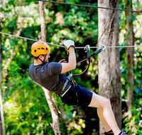 TreeTop Challenge Currumbin - Australian Destinations