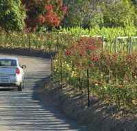 Cassegrain Wines - Australian Destinations