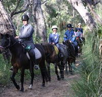Mirravale Horse Riding School - Australian Destinations