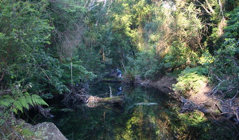 Nadgee Nature Reserve - Australian Destinations 2