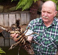 Lobster Ponds - Australian Destinations