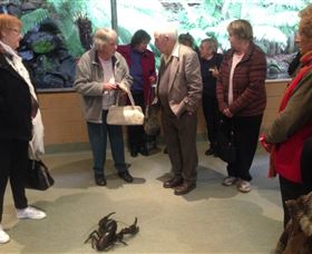 Lobster Ponds - Australian Destinations 1