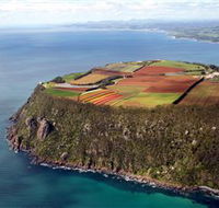 Table Cape - Australian Destinations